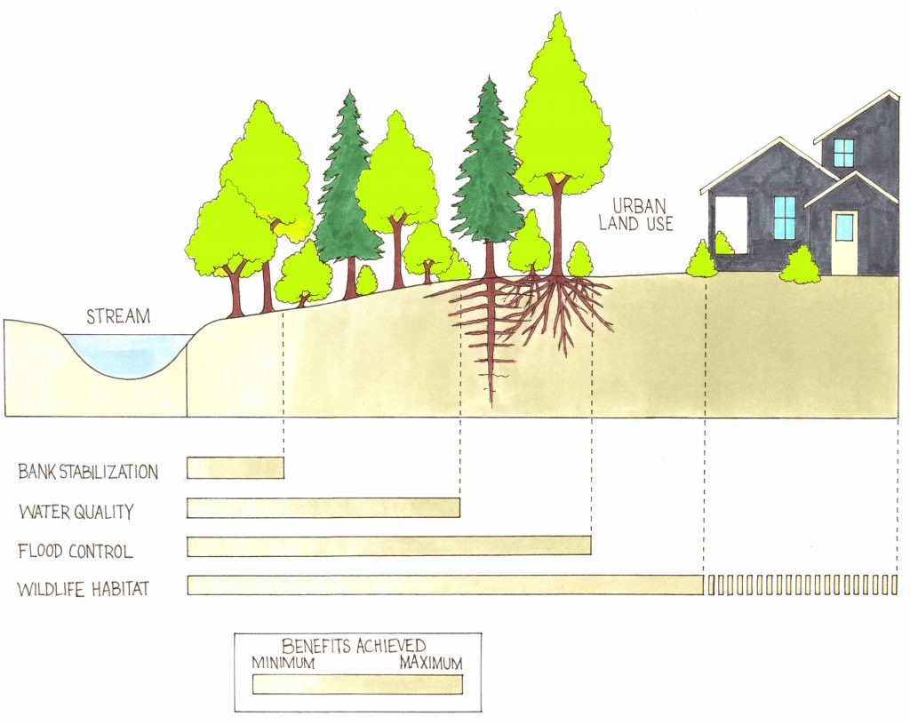 Figure 7: Services provided by varying widths of riparian buffer zones

